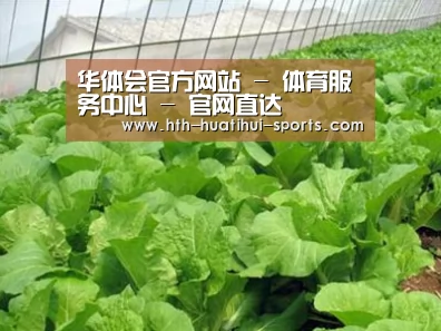 种植基地一