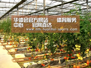 种植基地二(图1)